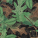 Tru Leaf Spring Green