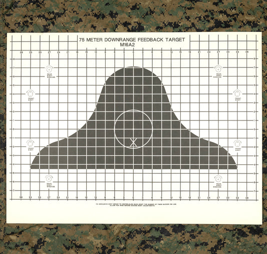 USGI M16A2 75-Meter Feedback Target (10-Pack)