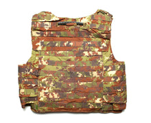 Load image into Gallery viewer, Italian Vegetato NC4-09 Plate Carrier
